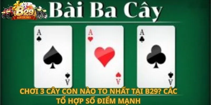 choi-3-cay-con-nao-to-nhat-tai-b29-cac-to-hop-so-diem-manh