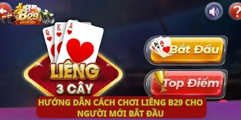 huong-dan-cach-choi-lieng-b29-cho-nguoi-moi-bat-dau