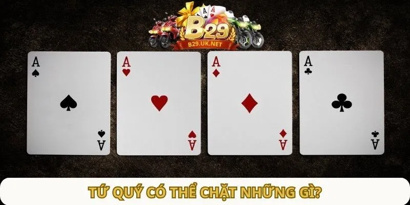 tu-quy-co-the-chat-nhung-gi